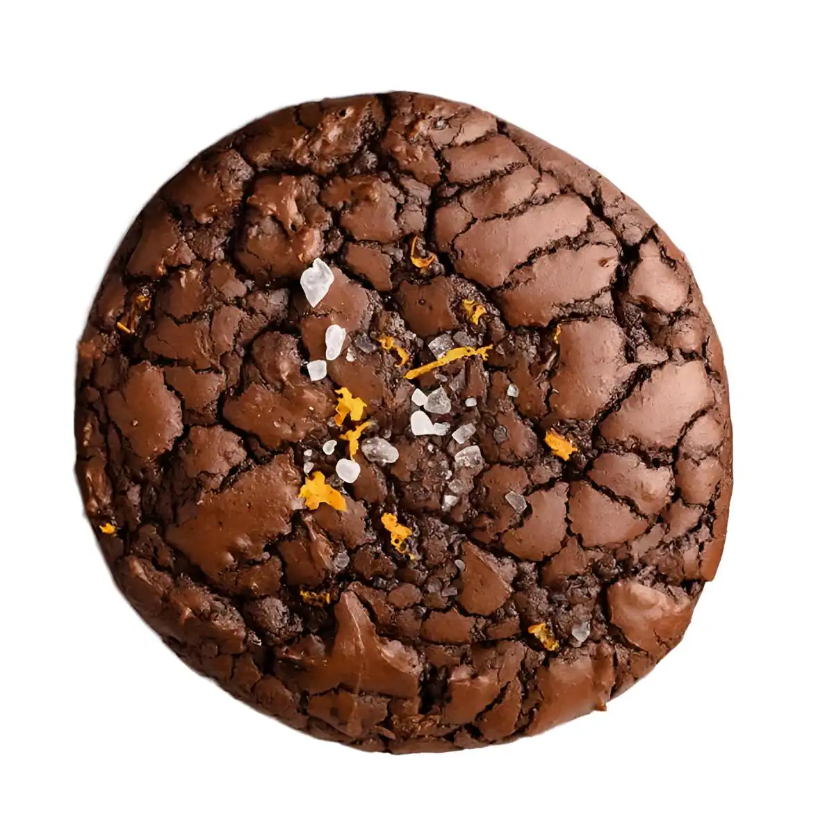 Orange Chocolate Chunk Cookie